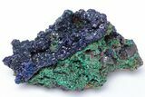 Sparkling Azurite and Malachite Crystal Association - China #215840-2